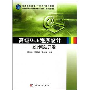 高级web程序设计 jsp网站开发 高等学校计算机科学与技术系列教材